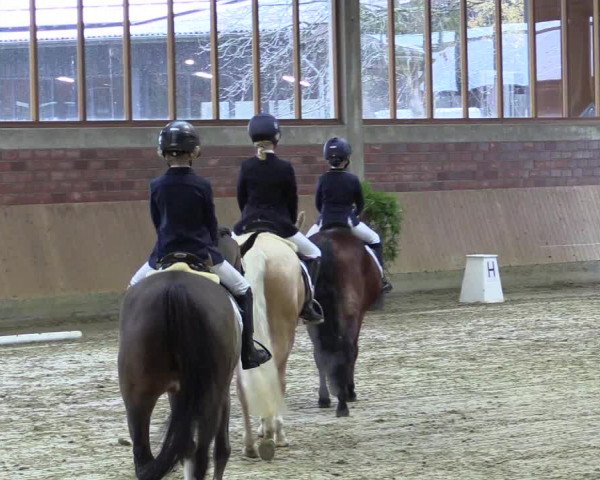 Hallen-Reitturnier Havixbeck-Hohenholte 2016