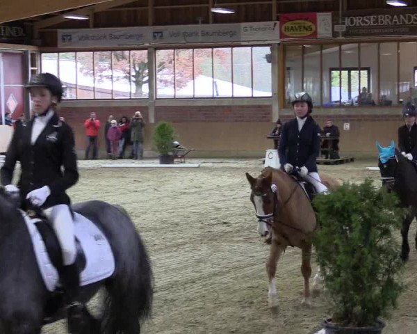 Hallen-Reitturnier Havixbeck-Hohenholte 2016