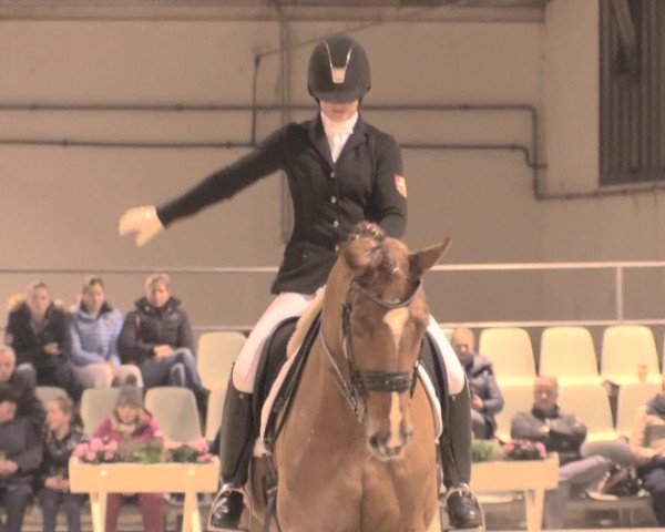 Jugend-Challenge Verden 2016
