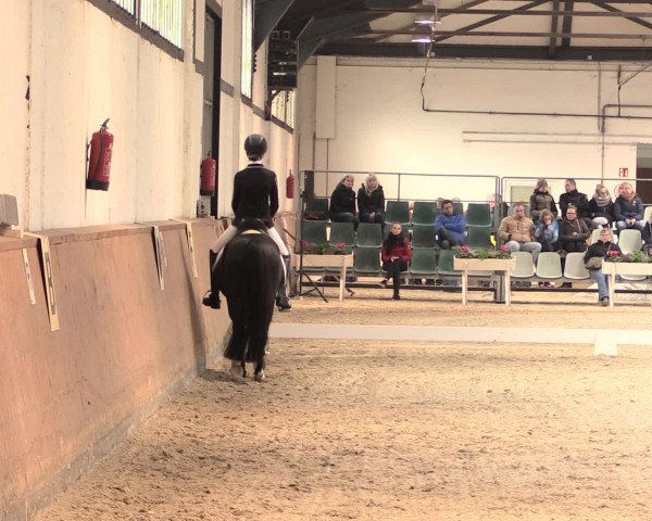 Jugend-Challenge Verden 2016