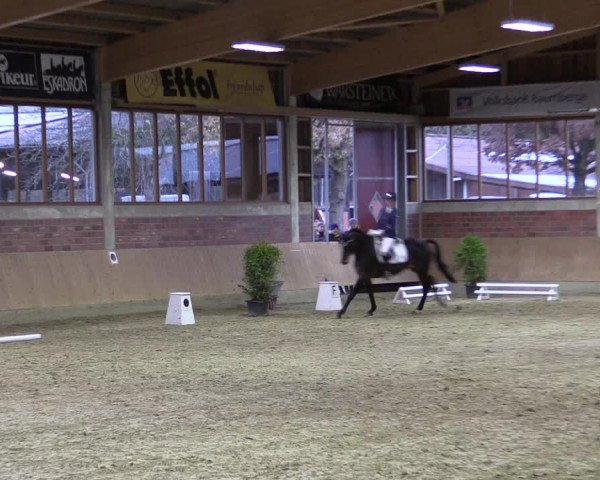 Hallen-Reitturnier Havixbeck-Hohenholte 2016