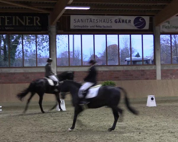 Hallen-Reitturnier Havixbeck-Hohenholte 2016