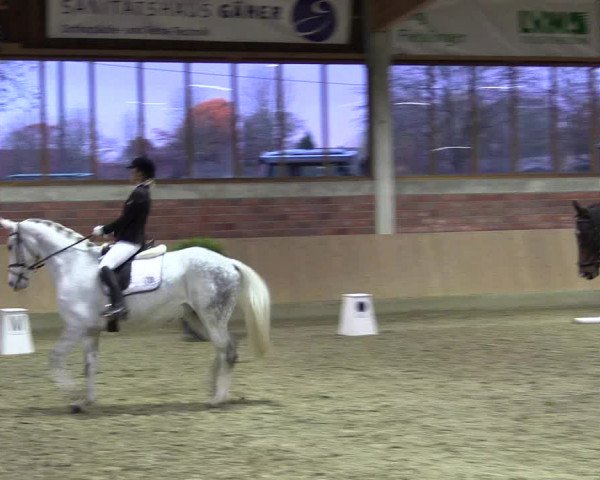 Hallen-Reitturnier Havixbeck-Hohenholte 2016