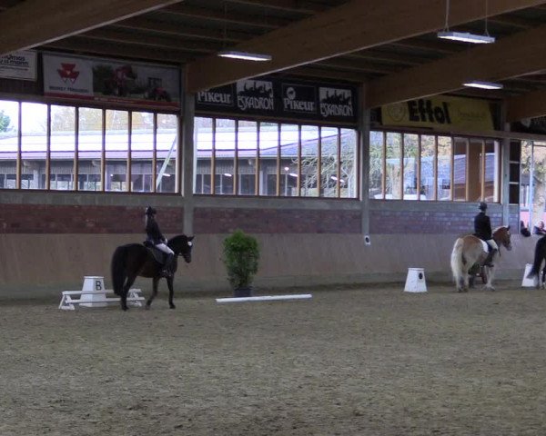 Hallen-Reitturnier Havixbeck-Hohenholte 2016