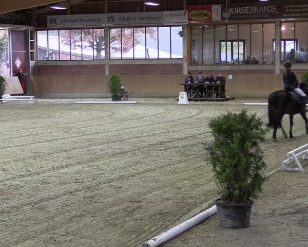 Hallen-Reitturnier Havixbeck-Hohenholte 2016