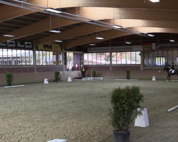 Hallen-Reitturnier Havixbeck-Hohenholte 2016