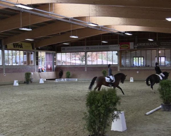 Hallen-Reitturnier Havixbeck-Hohenholte 2016