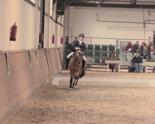 Jugend-Challenge Verden 2016