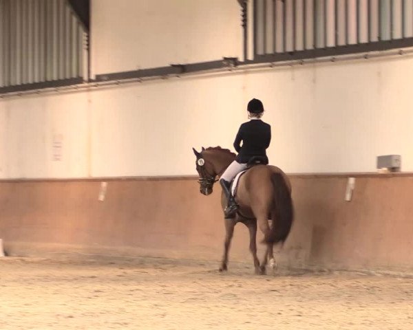 Jugend-Challenge Verden 2016