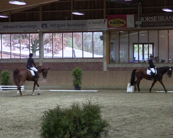 Hallen-Reitturnier Havixbeck-Hohenholte 2016
