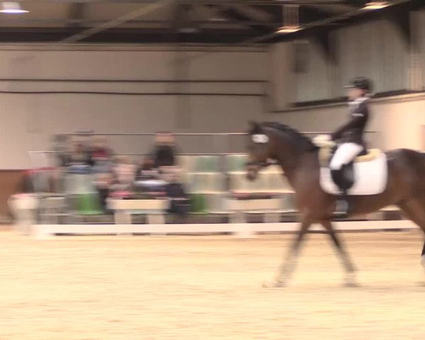 Jugend-Challenge Verden 2016