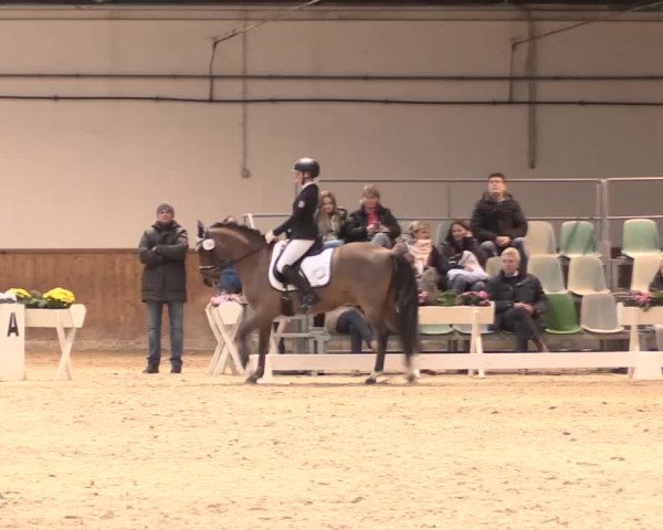 Jugend-Challenge Verden 2016