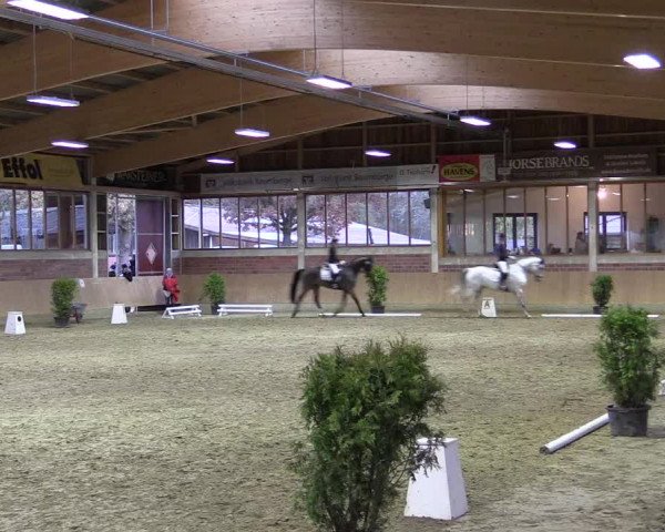 Hallen-Reitturnier Havixbeck-Hohenholte 2016