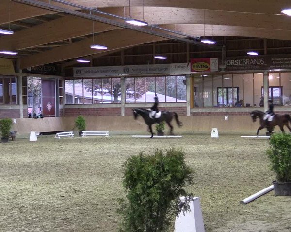 Hallen-Reitturnier Havixbeck-Hohenholte 2016