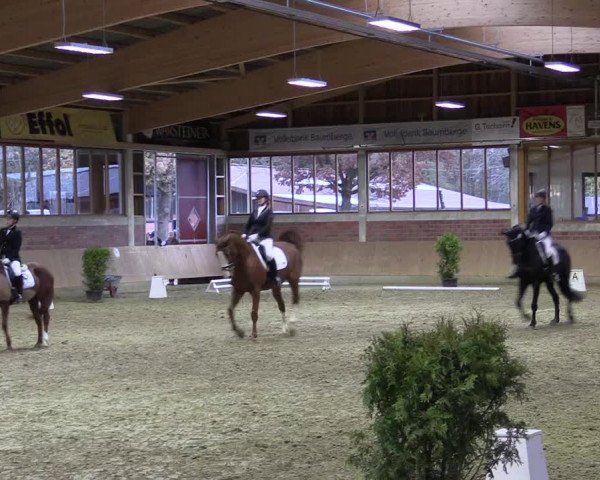 Hallen-Reitturnier Havixbeck-Hohenholte 2016