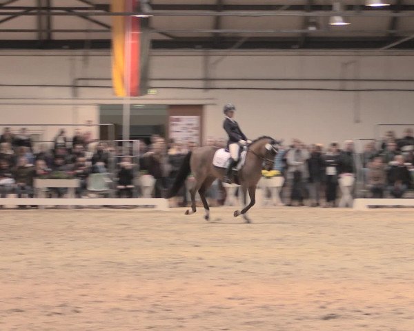 Jugend-Challenge Verden 2016