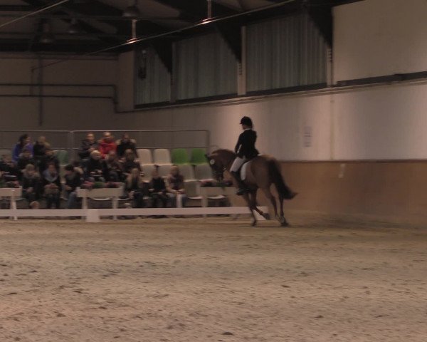 Jugend-Challenge Verden 2016