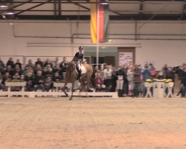 Jugend-Challenge Verden 2016