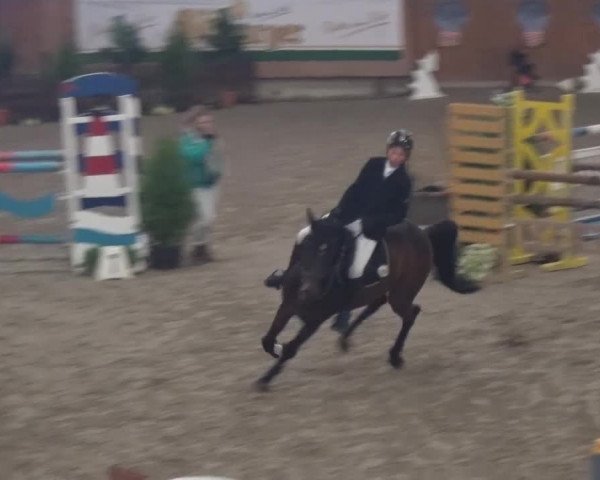 Gut Neuhaus Jugendfestival 2016 - Grevenbroich