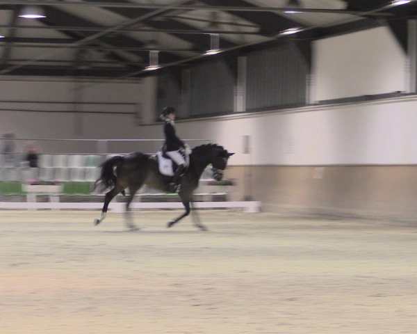 Jugend-Challenge Verden 2016