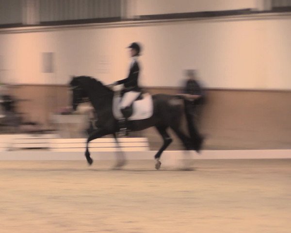 Jugend-Challenge Verden 2016