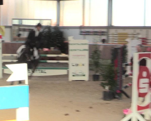Reitturnier Südlohn-Oeding 2016