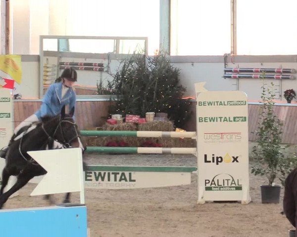 Reitturnier Südlohn-Oeding 2016