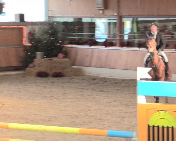 Reitturnier Südlohn-Oeding 2016