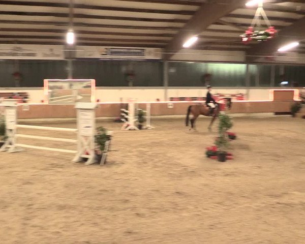 Reitturnier Südlohn-Oeding 2016