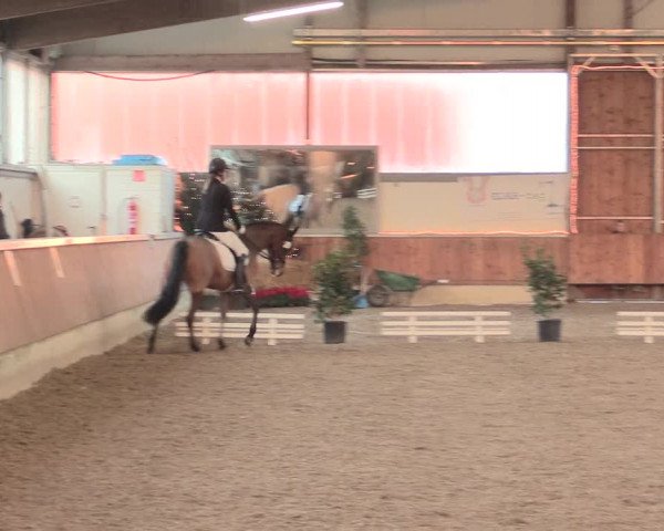 Reitturnier Südlohn-Oeding 2016