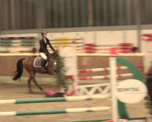 Reitturnier Südlohn-Oeding 2016