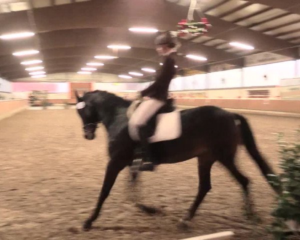 Reitturnier Südlohn-Oeding 2016