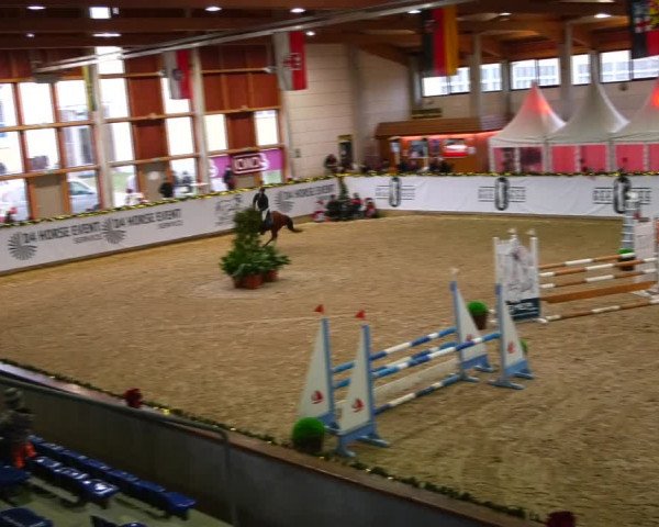 Christmas Jumping Trophy Prussendorf 2021
