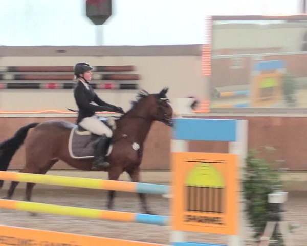 Reitturnier Südlohn-Oeding 2016