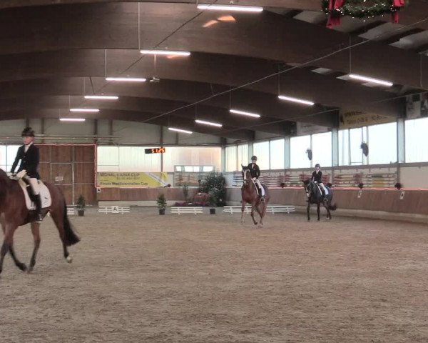 Reitturnier Südlohn-Oeding 2016