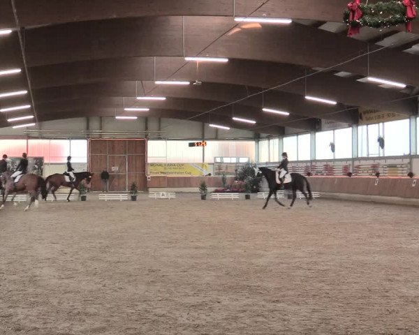 Reitturnier Südlohn-Oeding 2016
