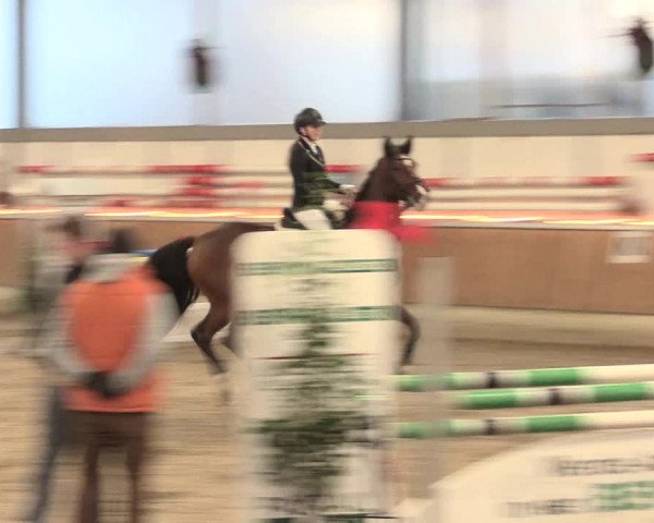 Reitturnier Südlohn-Oeding 2016