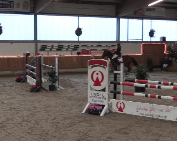 Reitturnier Südlohn-Oeding 2016
