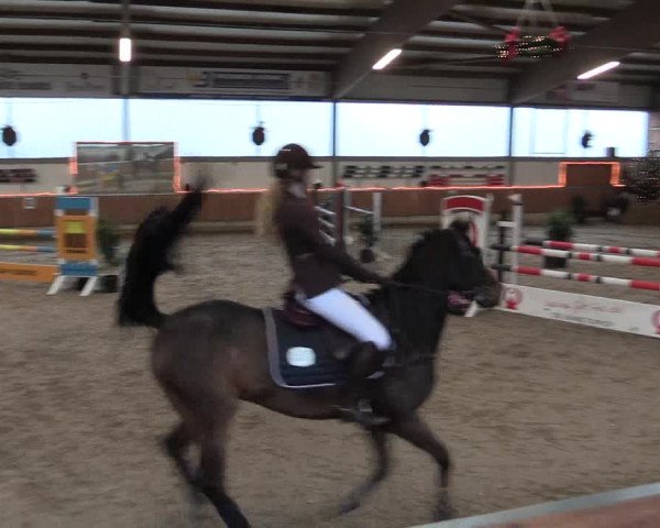 Reitturnier Südlohn-Oeding 2016