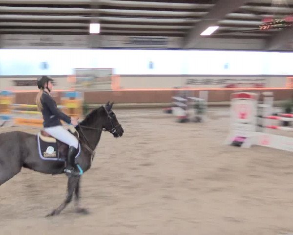 Reitturnier Südlohn-Oeding 2016
