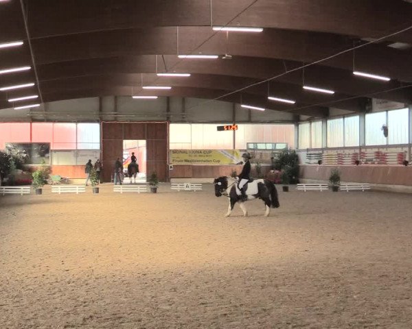 Reitturnier Südlohn-Oeding 2016