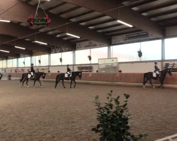 Reitturnier Südlohn-Oeding 2016