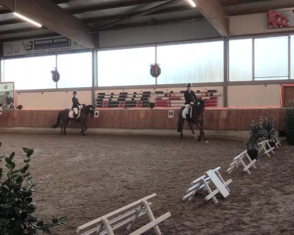 Reitturnier Südlohn-Oeding 2016