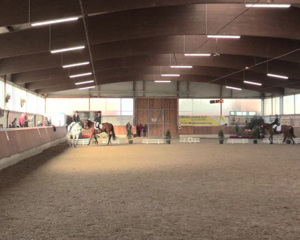Reitturnier Südlohn-Oeding 2016