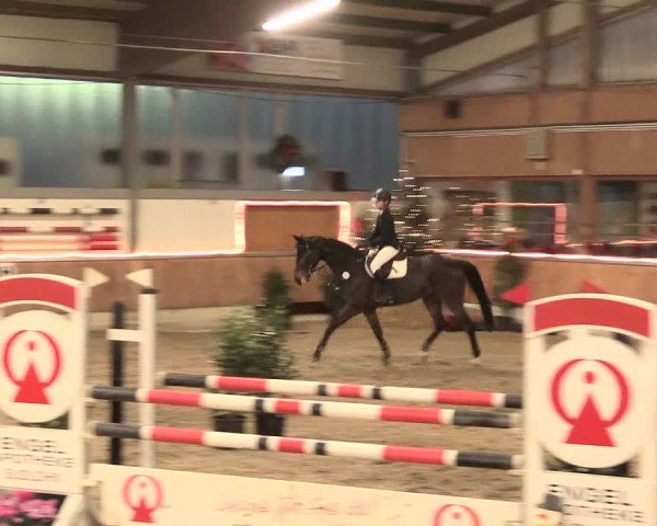 Reitturnier Südlohn-Oeding 2016