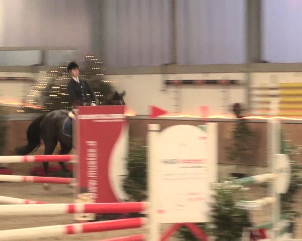 Reitturnier Südlohn-Oeding 2016