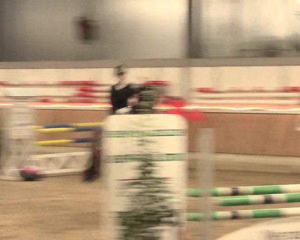 Reitturnier Südlohn-Oeding 2016