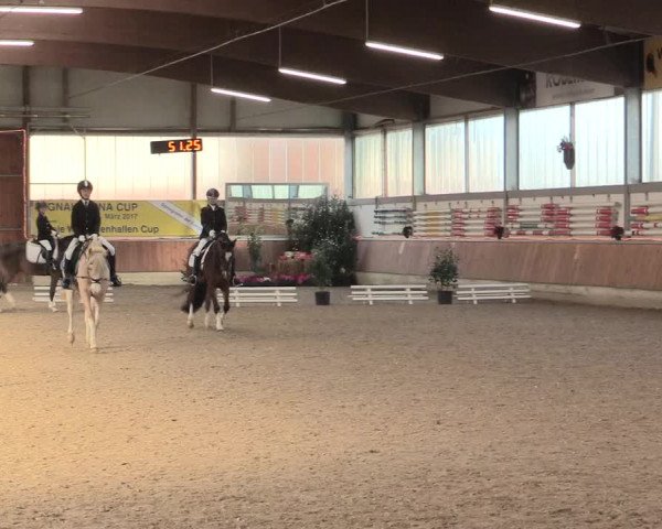 Reitturnier Südlohn-Oeding 2016