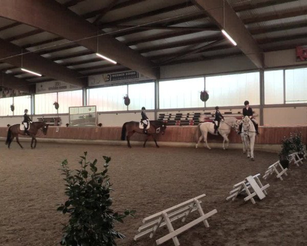 Reitturnier Südlohn-Oeding 2016