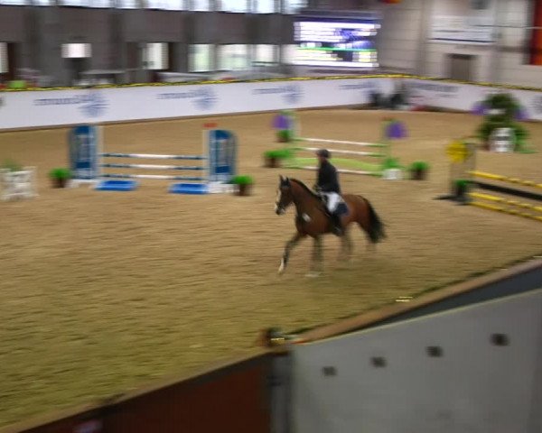 Christmas Jumping Trophy Prussendorf 2021